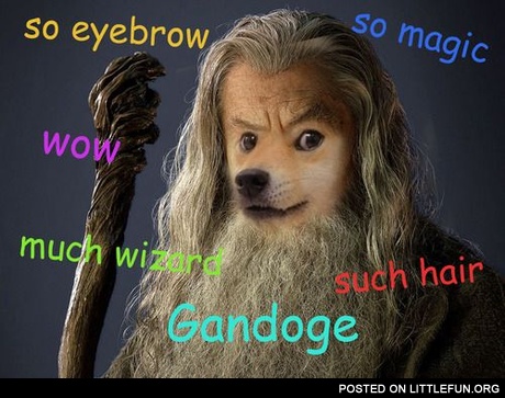Doge Gandalf, such hair, much wizard.