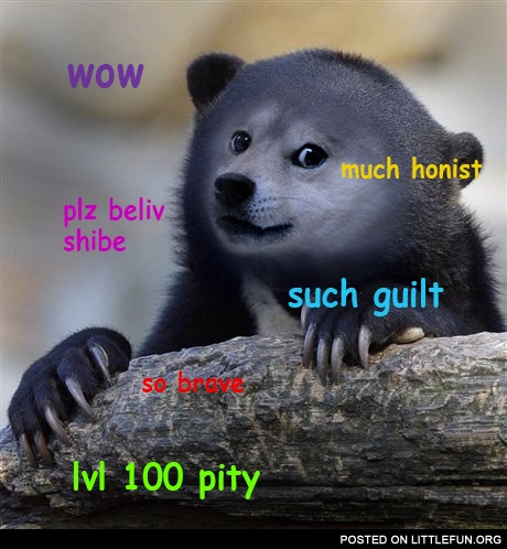 Doge confession bear. Such guilt, much honest, wow.