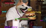 Doge with hamburger. Wow, such doge, many meat.