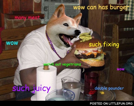 Doge with hamburger. Wow, such doge, many meat.