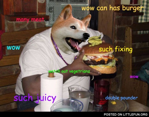 Doge with hamburger. Wow, such doge, many meat.