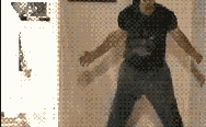 Guy kicks cat while playing Kinect