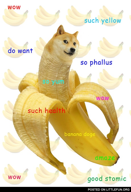 Banana doge. Such yellow, much health.