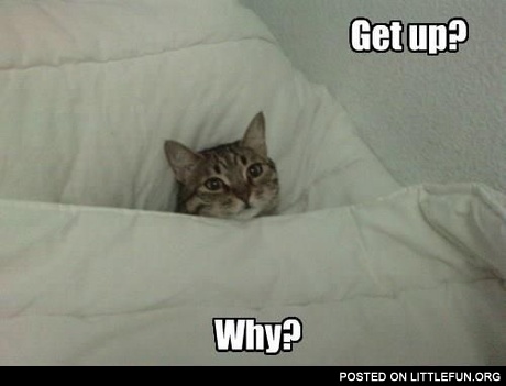 Get up? Why?