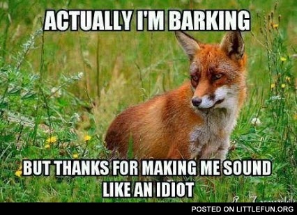What Does the Fox Say? Actually I'm barking, but thanks for making me sound like an idiot.