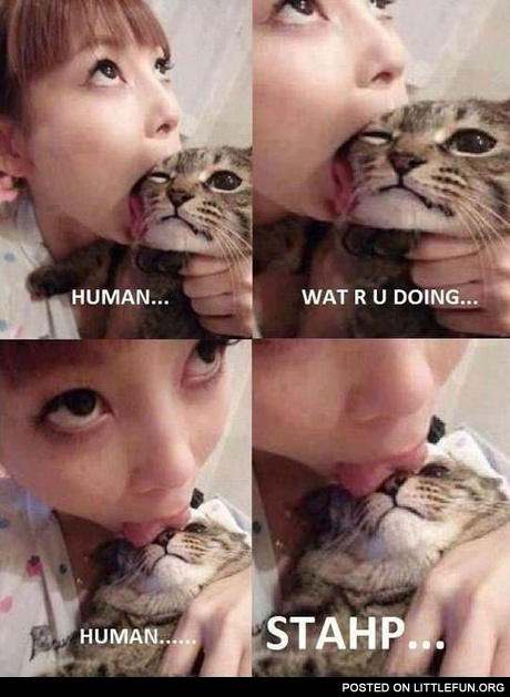 Human, what r u doing?! Human, stahp!