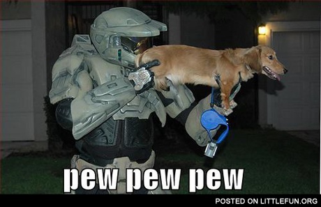 Pew pew pew. Halo dog.