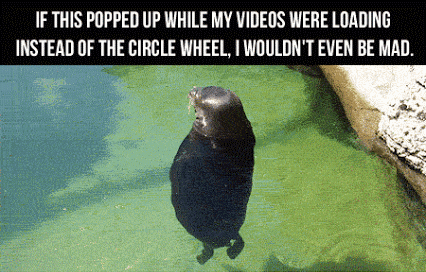 If this popped up while my videos were loading instead of the circle wheel, I wouldn't even be mad.