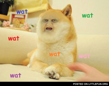 Wat doge