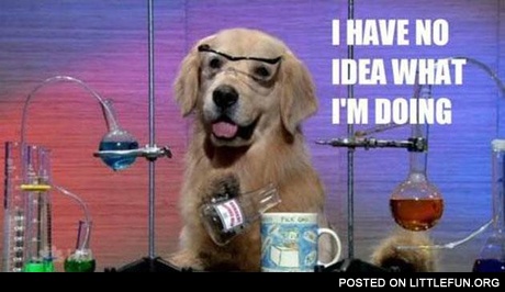 I have no idea what im doing. Science dog.