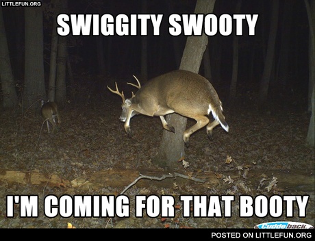 Swiggity swooty i'm coming for that booty. Deer.
