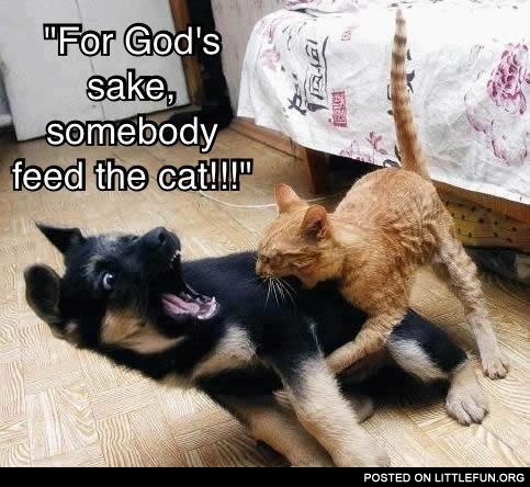 For God's sake, somebody feed the cat!!!