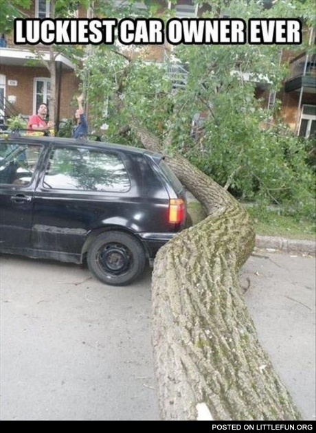 Luckiest car owner ever.