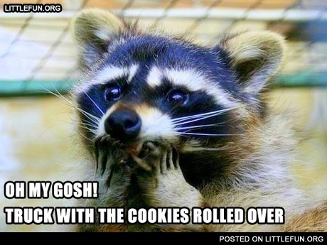Oh my Gosh. Truck with the cookies rolled over.