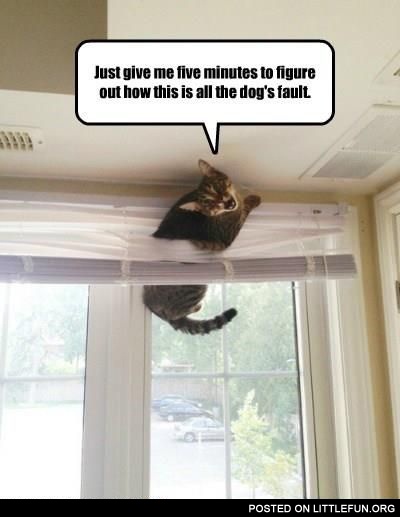 Just give me five minutes to figure out how this is all the dog's fault.