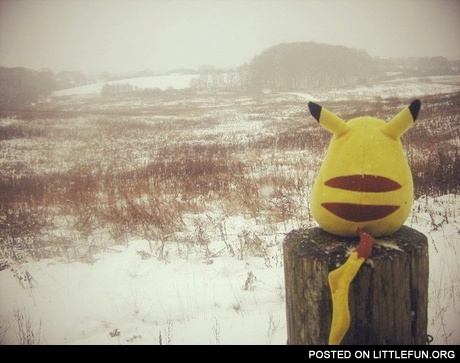 Thinkin bout life. Pikachu.