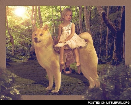 Chloe on doge.