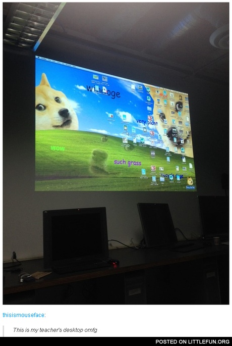 This is my teacher's desktop. Doge.