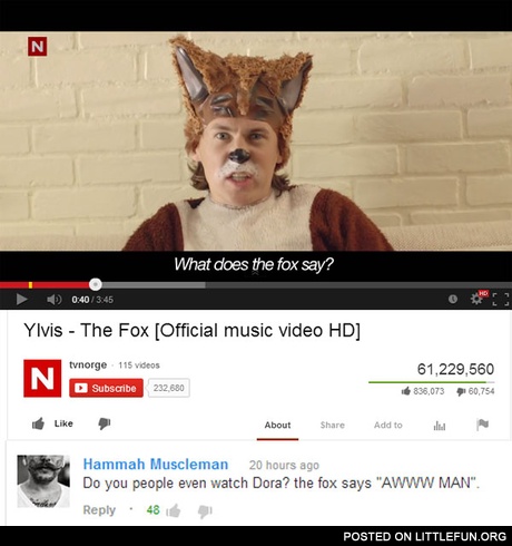 What does the fox say? Do you people even watch Dora? The fox says "Awww man".