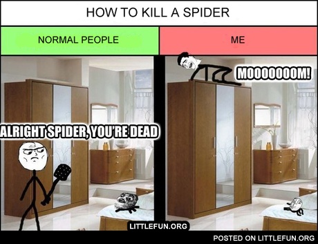 How to kill a spider.
