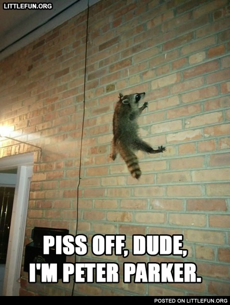 P*ss off, dude. I'm Peter Parker.