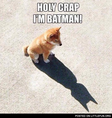 Holy c**p, I'm batman! Doge.