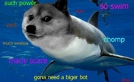 Shark doge.