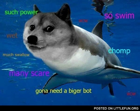 Shark doge.