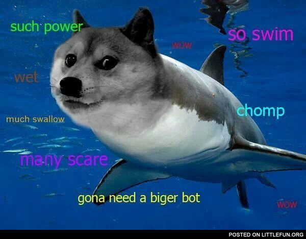 Shark doge.