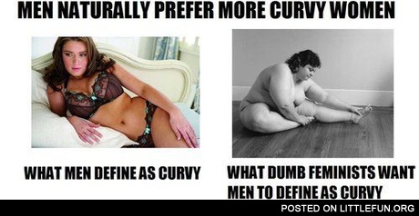Men naturally prefer curvy women. What men define as curvy and what feminists want men to define as curvy.
