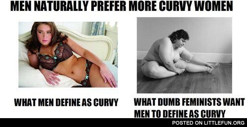 Men naturally prefer curvy women. What men define as curvy and what feminists want men to define as curvy.
