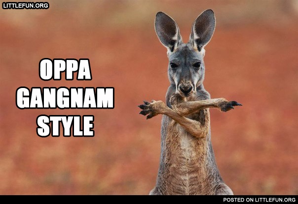 Oppa gangnam style. Kangaroo style.