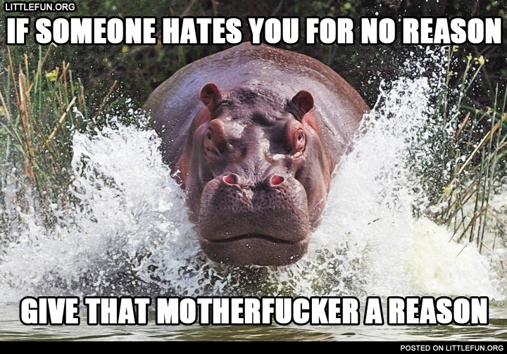 If someone hates you for no reason give that motherf**ker a reason. Hippo.