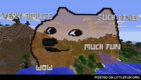 Minecraft doge.