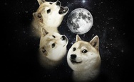 Doge and the Moon.