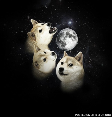 Doge and the Moon.