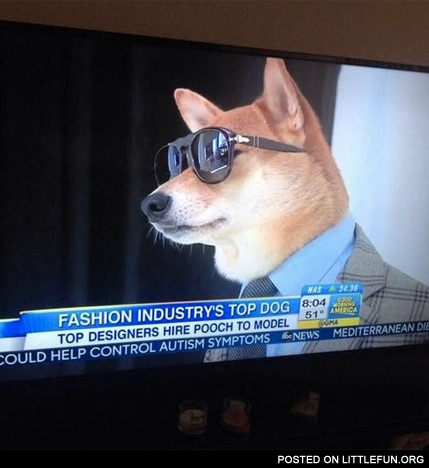 Fashion industry's top dog.