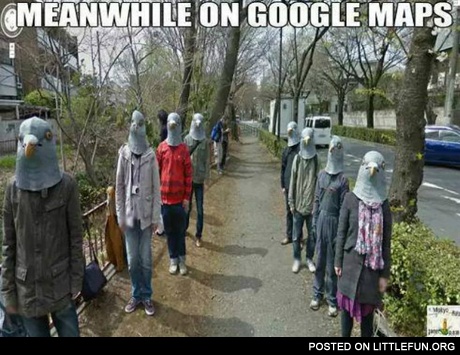 Meanwhile on google maps. Pigeons.