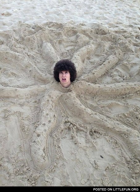 Sand octopus.