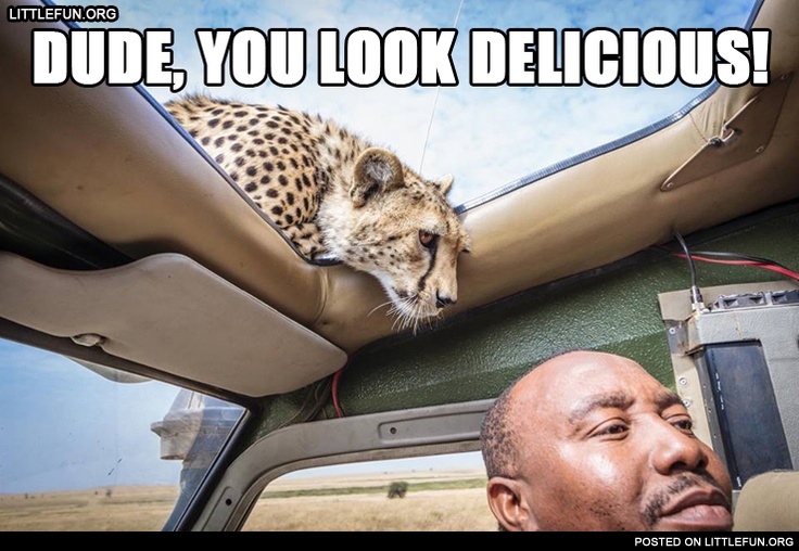 Dude, you look delicious!