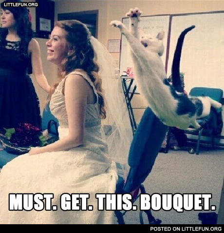 Must. Get. This. Bouquet.