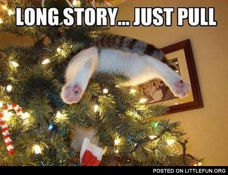 Long story, just pull. Christmas cat.