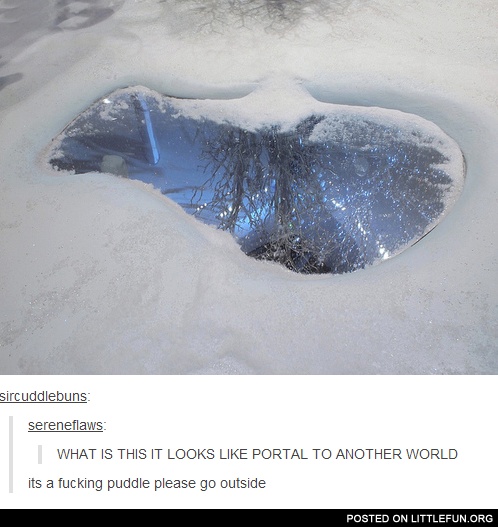 It looks like a portal to another world. It's a f**king puddle, please go outside.
