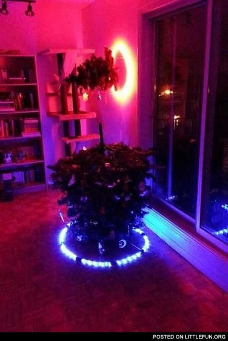 Portal Christmas tree.