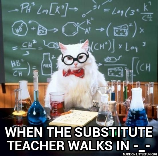 Chemistry Cat: , When the substitute teacher walks in -_-