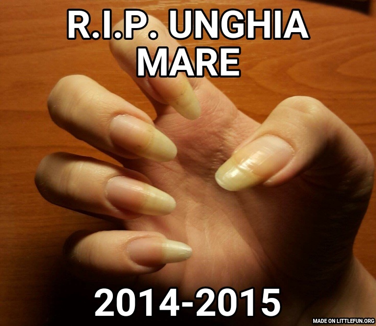 R.I.P.
UNGHIA MARE, 2014-2015