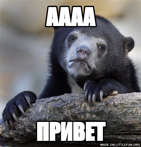 Confession Bear: AAAA, Привет