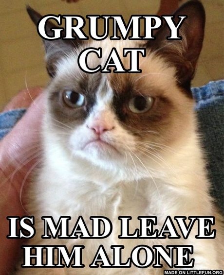 Grumpy Cat: Grumpy cat, Is mad leave him alone
