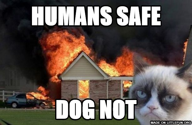 Burn Kitty: humans safe, dog not