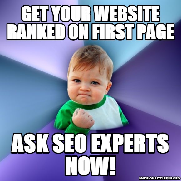 Success Kid: Get Your Website Ranked on First page, Ask SEO Experts Now!